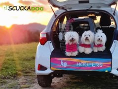 Podložka nebo ochrana nárazníku auta s vlastním logem