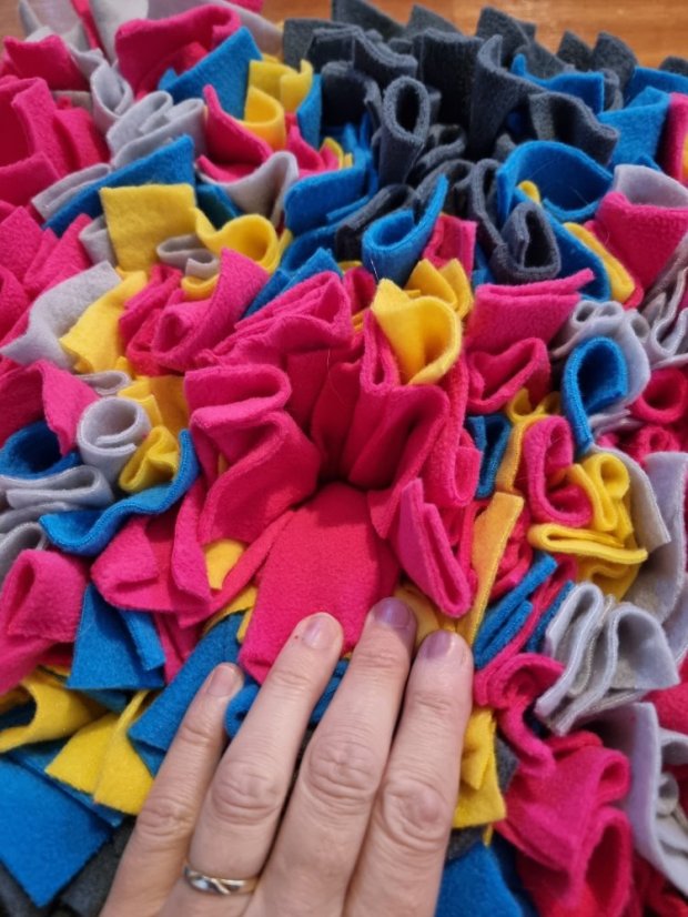 Čmuchací kobereček