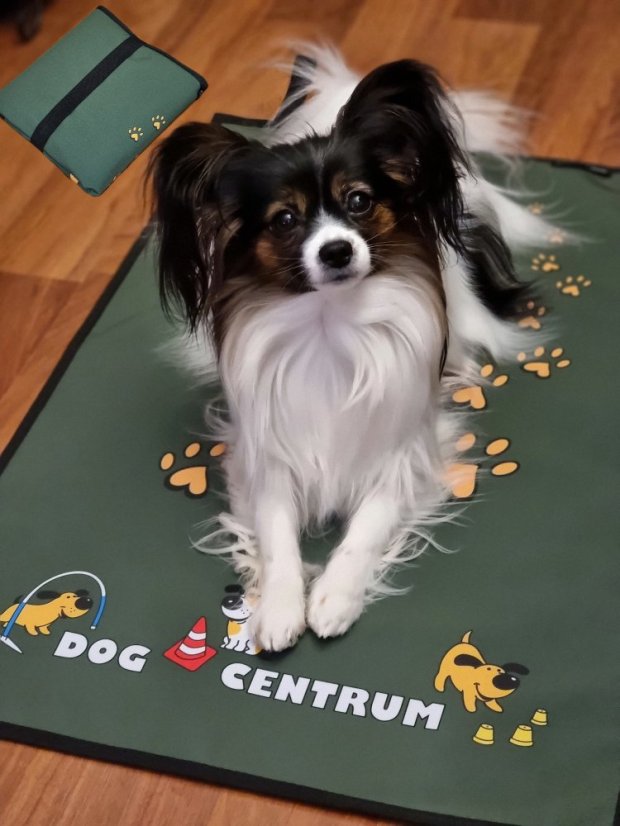 Pohodečka Dog Centrum vel. M - barva: růžová