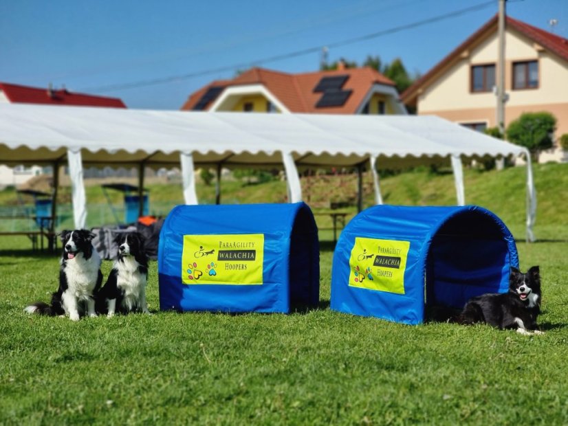 tunel hoopers Happy Hoop