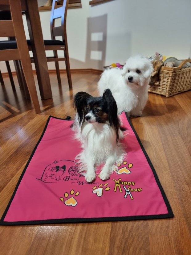 Pohodečka s originálním tiskem na Vaše přání vel. M - Každý další kus stejného tisku je za 650,- Kč/ks.: 2