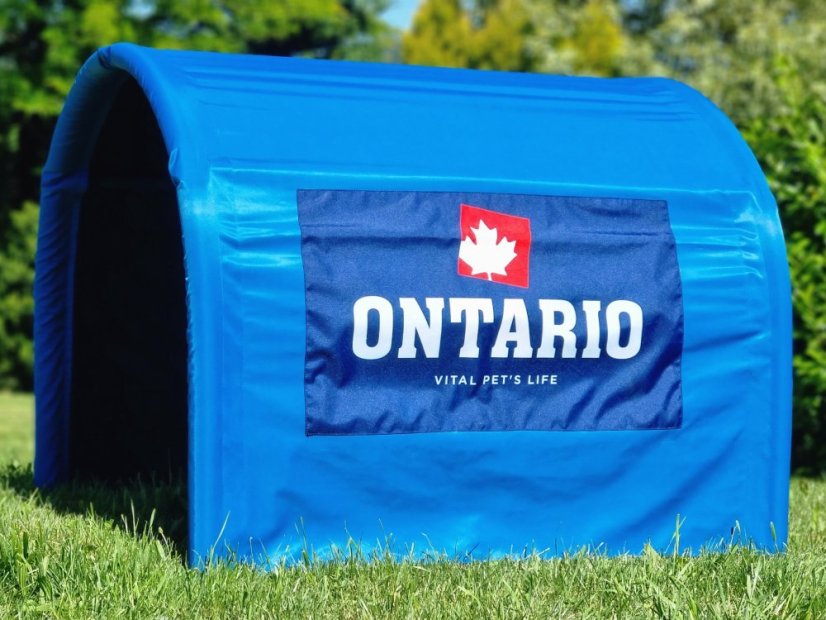 tunel hoopers Happy Hoop