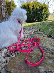 Vodítko Hexa růžové 10mm délka 1,5m