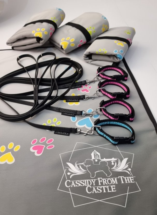 Pohodečka s originálním tiskem na Vaše přání vel. M - Každý další kus stejného tisku je za 650,- Kč/ks.: 2