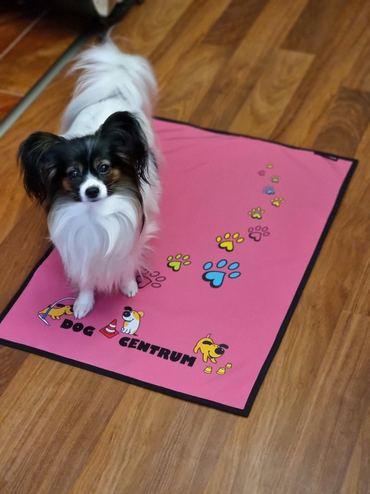 Pohodečky - Každý další kus stejného tisku je za 650,- Kč/ks. - 6