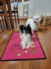 Pohodečka s originálním tiskem na Vaše přání vel. M