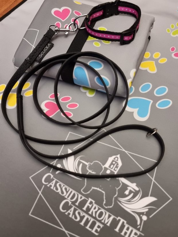 Pohodečka s originálním tiskem na Vaše přání vel. M - Každý další kus stejného tisku je za 650,- Kč/ks.: 2